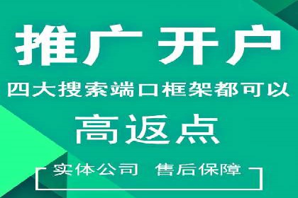 行业领先企业的关键词竞价排名实战案例